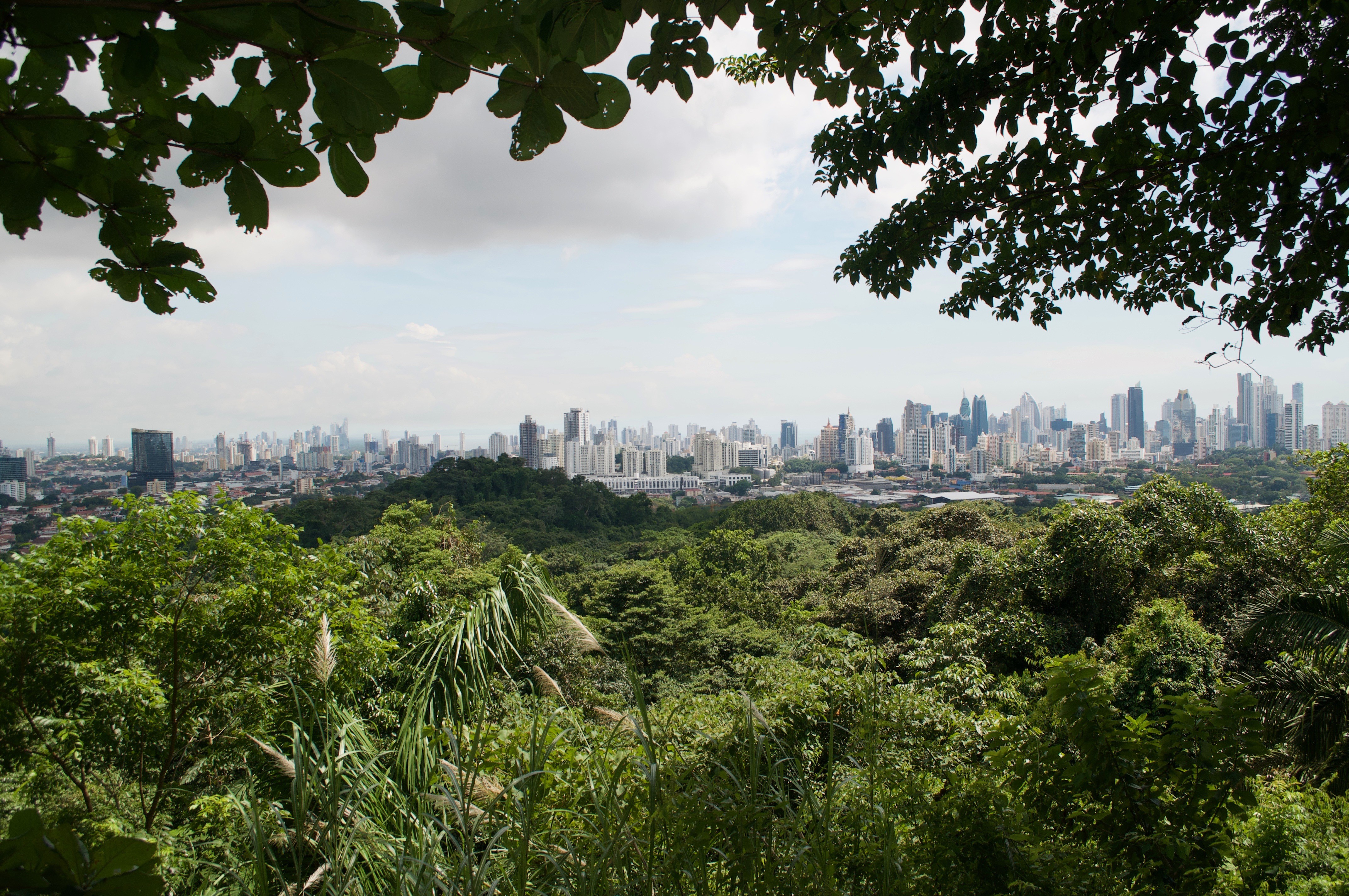 Metropolitano Nationalpark