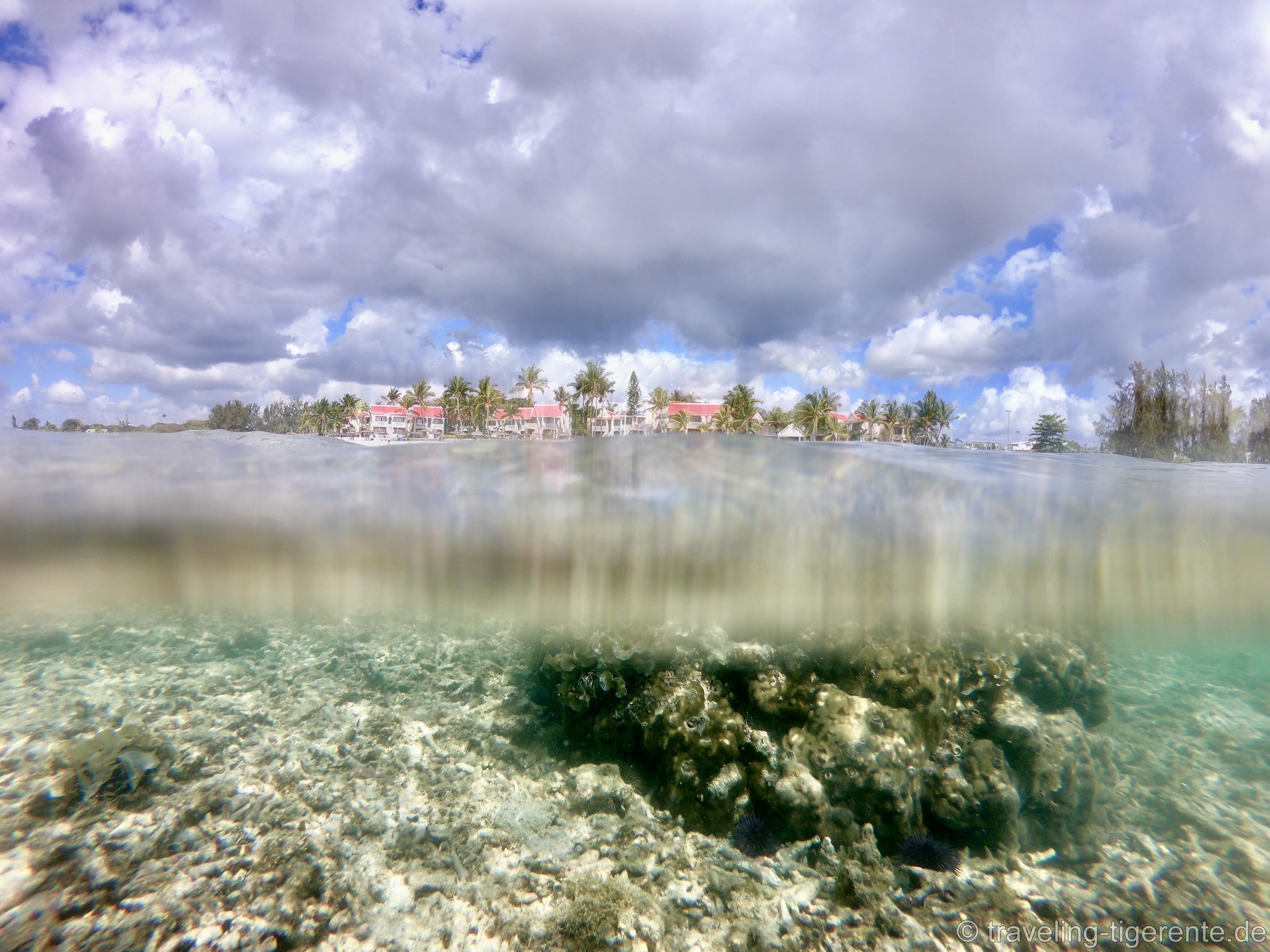 (Was für) ein Tag unter Wasser!